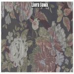 Liora Jawa