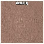 Valencia Fog