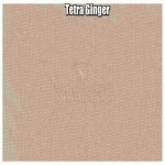 Tetra Ginger