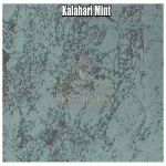 Kalahari Mint