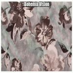 Bohemia Vision