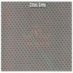 Citus Grey