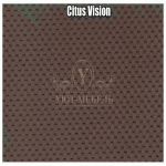 Citus Vision