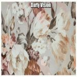 Darly Vision